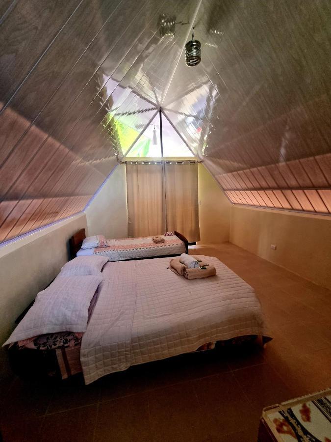 Ballena Oasis Homes & Glamping Uvita Kültér fotó