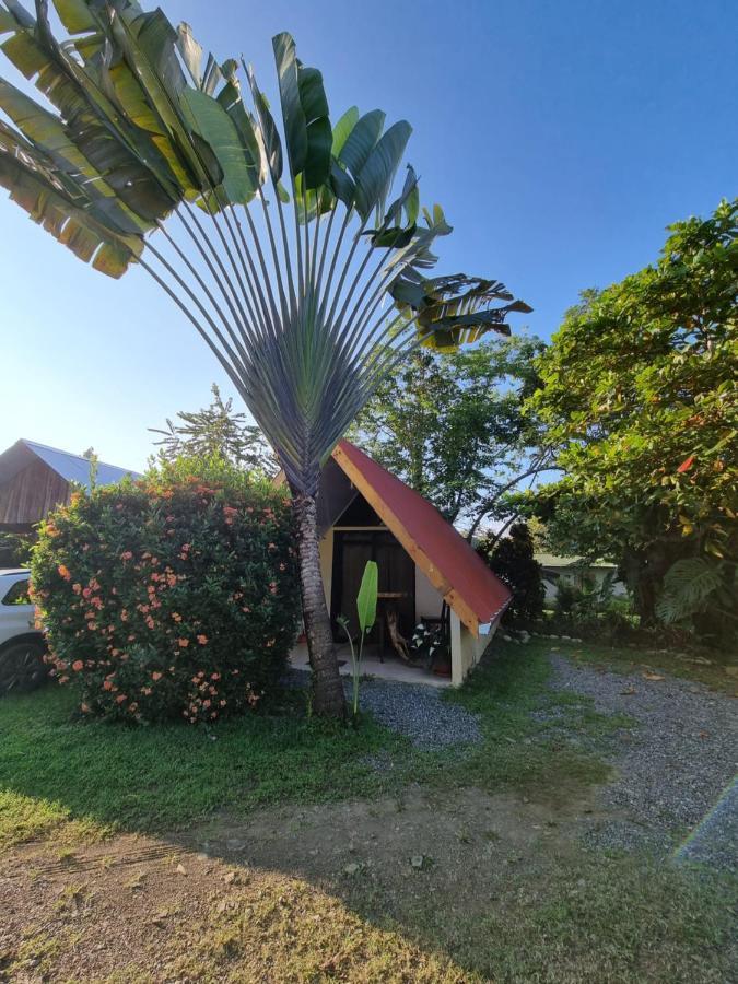 Ballena Oasis Homes & Glamping Uvita Kültér fotó
