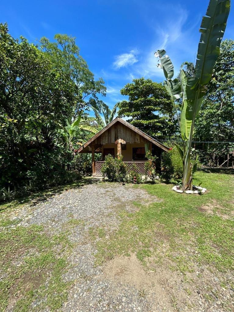 Ballena Oasis Homes & Glamping Uvita Kültér fotó