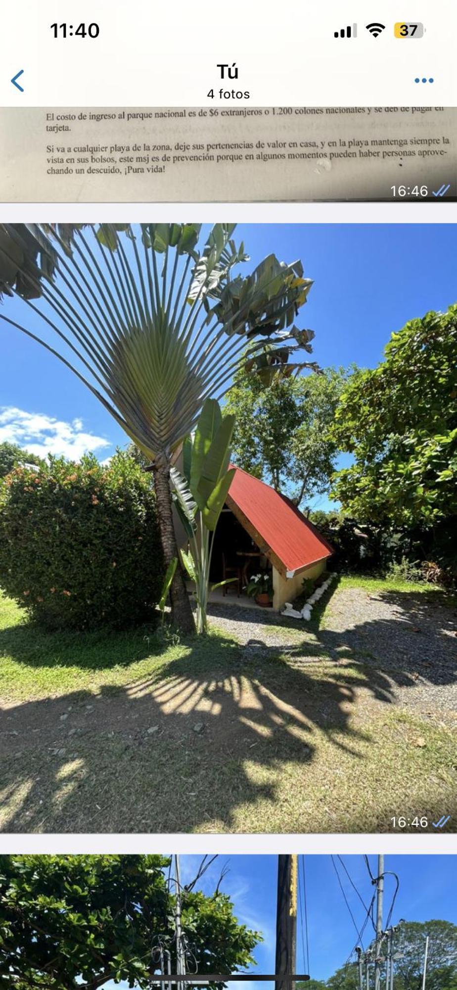 Ballena Oasis Homes & Glamping Uvita Kültér fotó