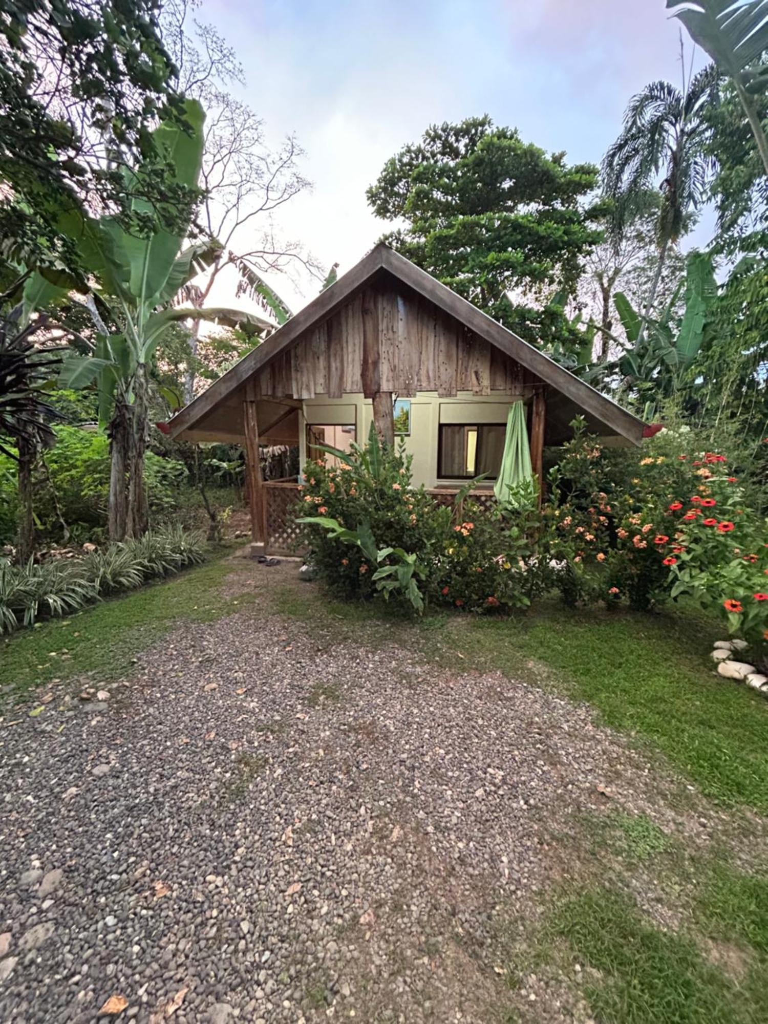 Ballena Oasis Homes & Glamping Uvita Kültér fotó
