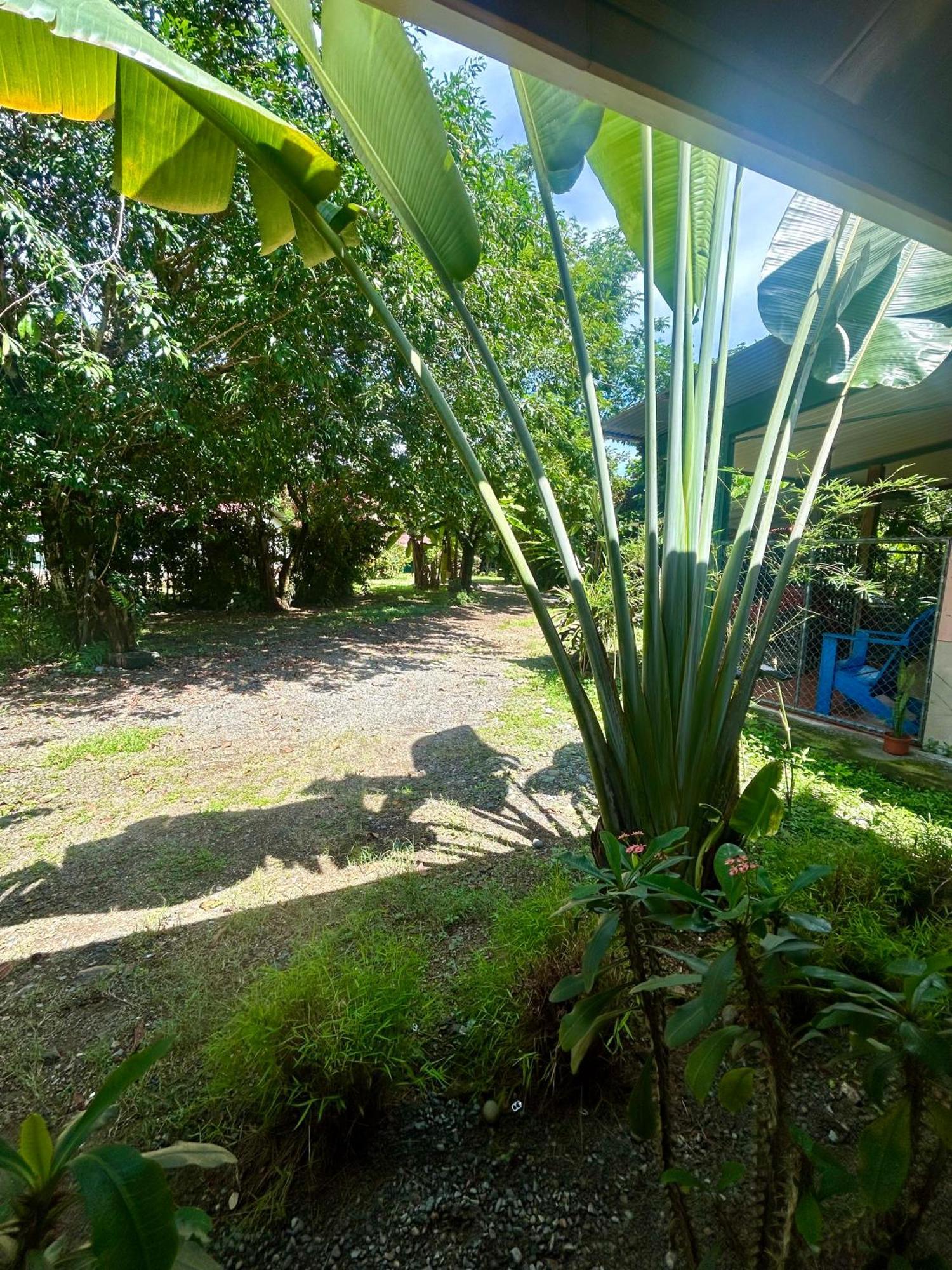 Ballena Oasis Homes & Glamping Uvita Kültér fotó