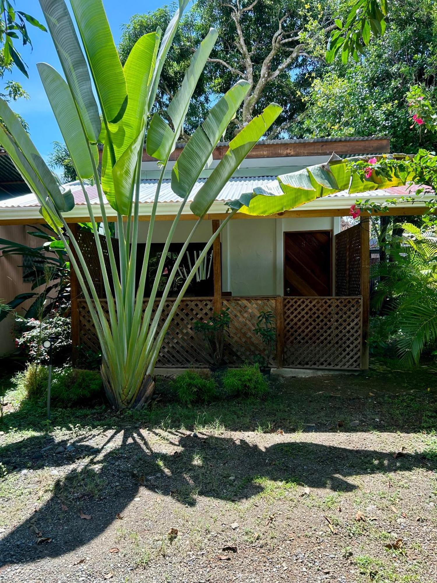 Ballena Oasis Homes & Glamping Uvita Kültér fotó