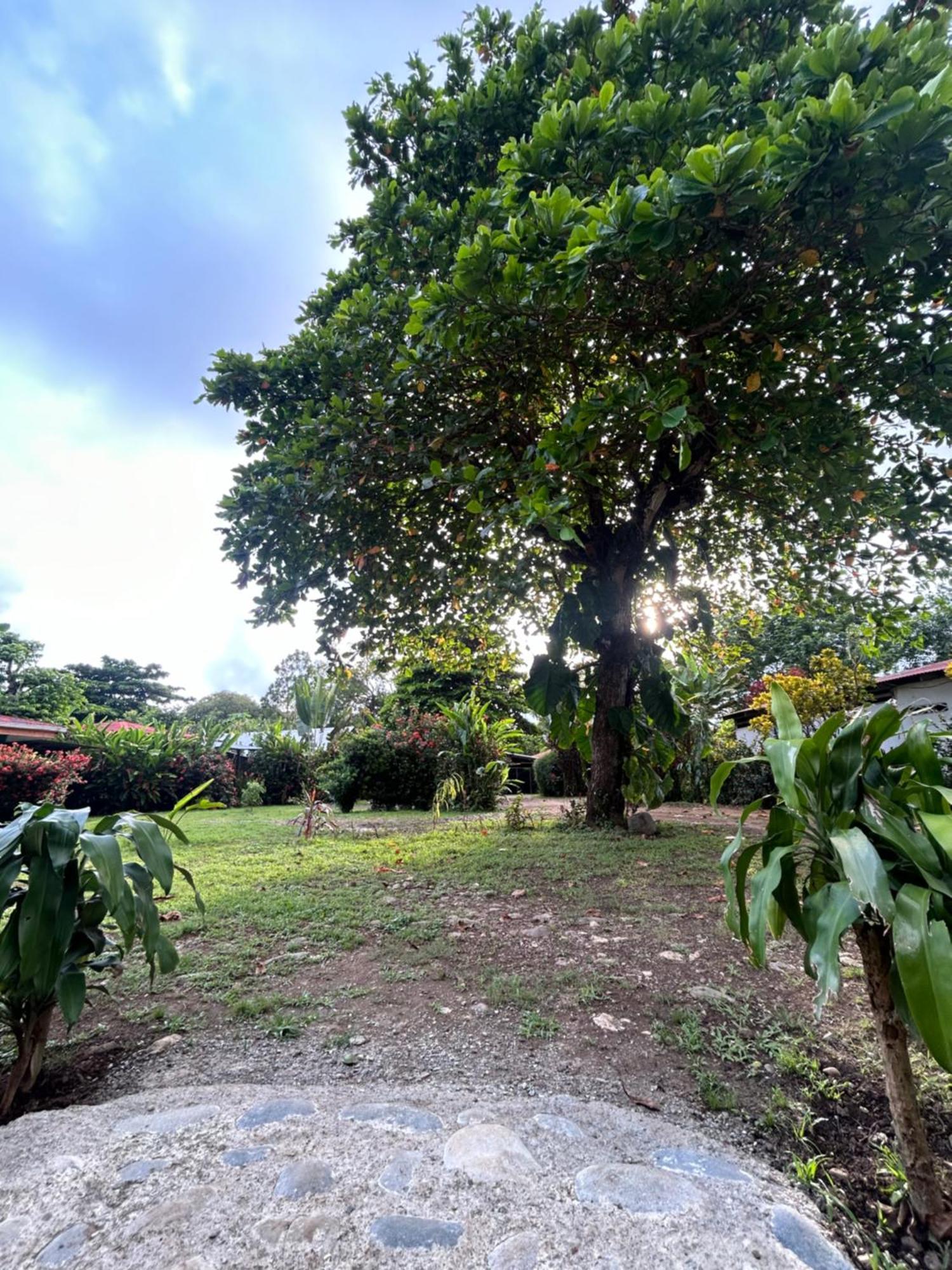 Ballena Oasis Homes & Glamping Uvita Kültér fotó