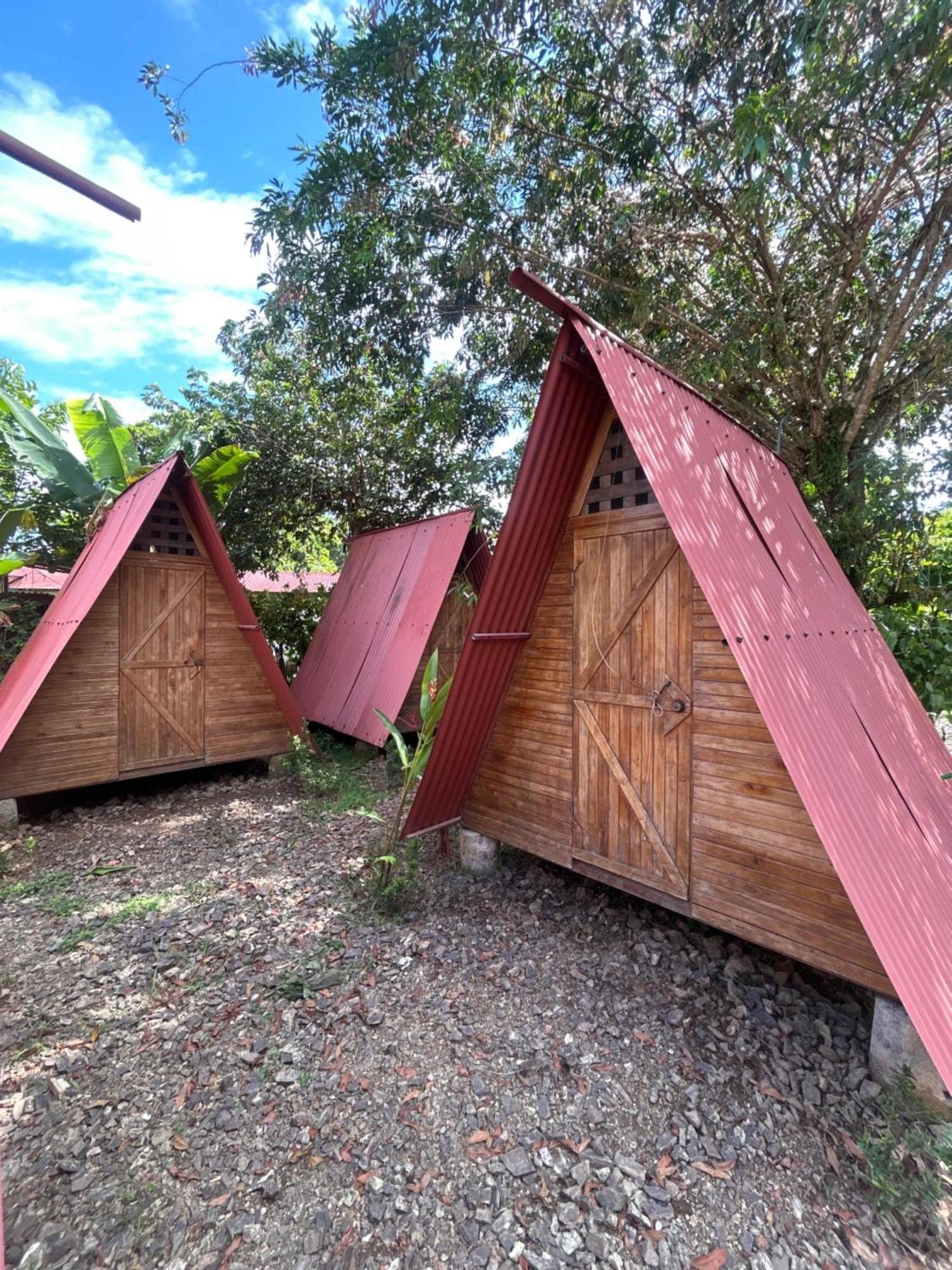 Ballena Oasis Homes & Glamping Uvita Kültér fotó