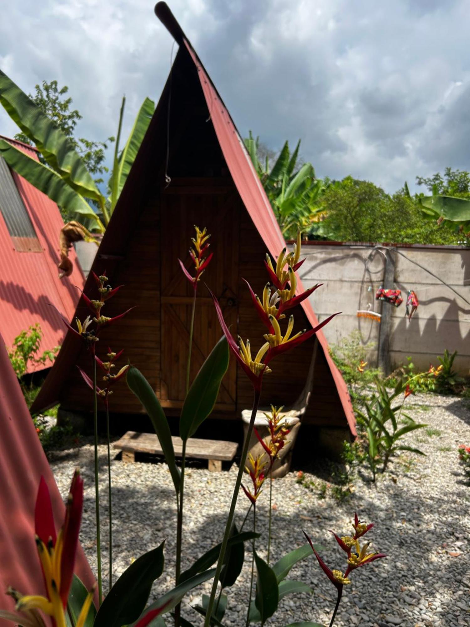 Ballena Oasis Homes & Glamping Uvita Kültér fotó